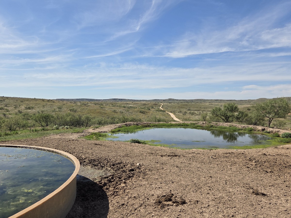 Overflow catch by Pasture Tech