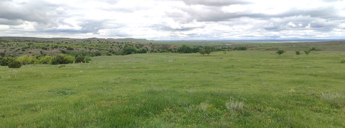 Pasture Tech land clearing