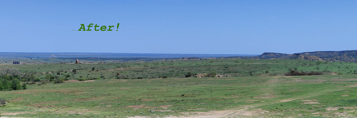 After mesquite clearing by Pasture Tech