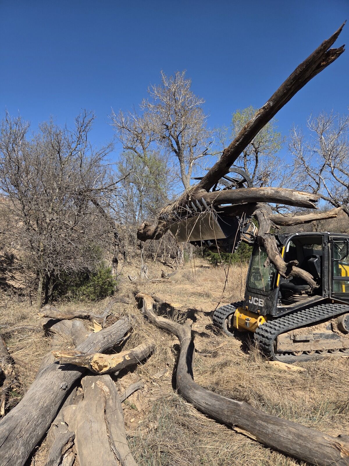 Cleared and smoothed pasture land after mesquite grubbing in the Texas Panhandle