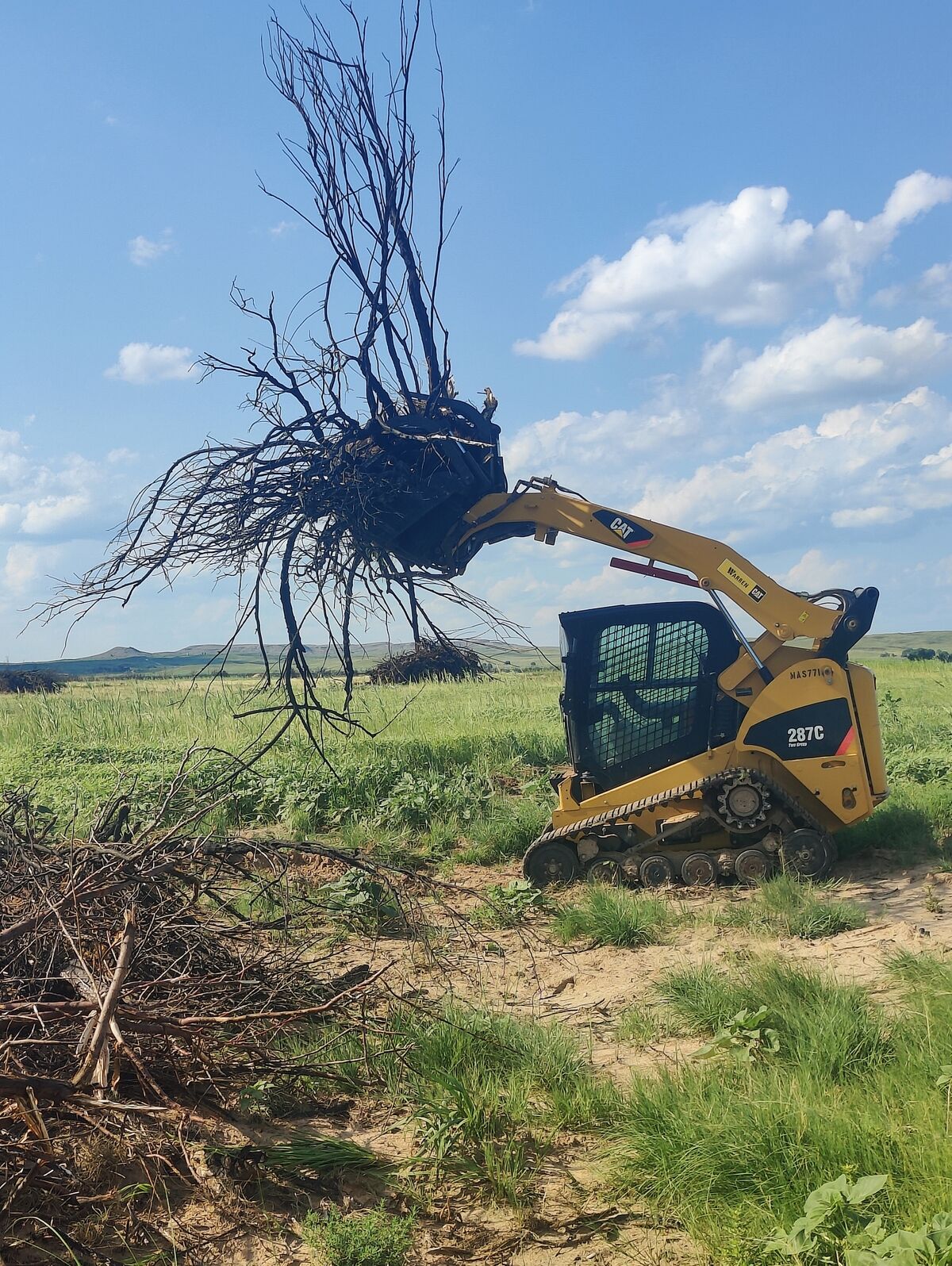 Pasture Tech grubbing salt cedar with skid loader