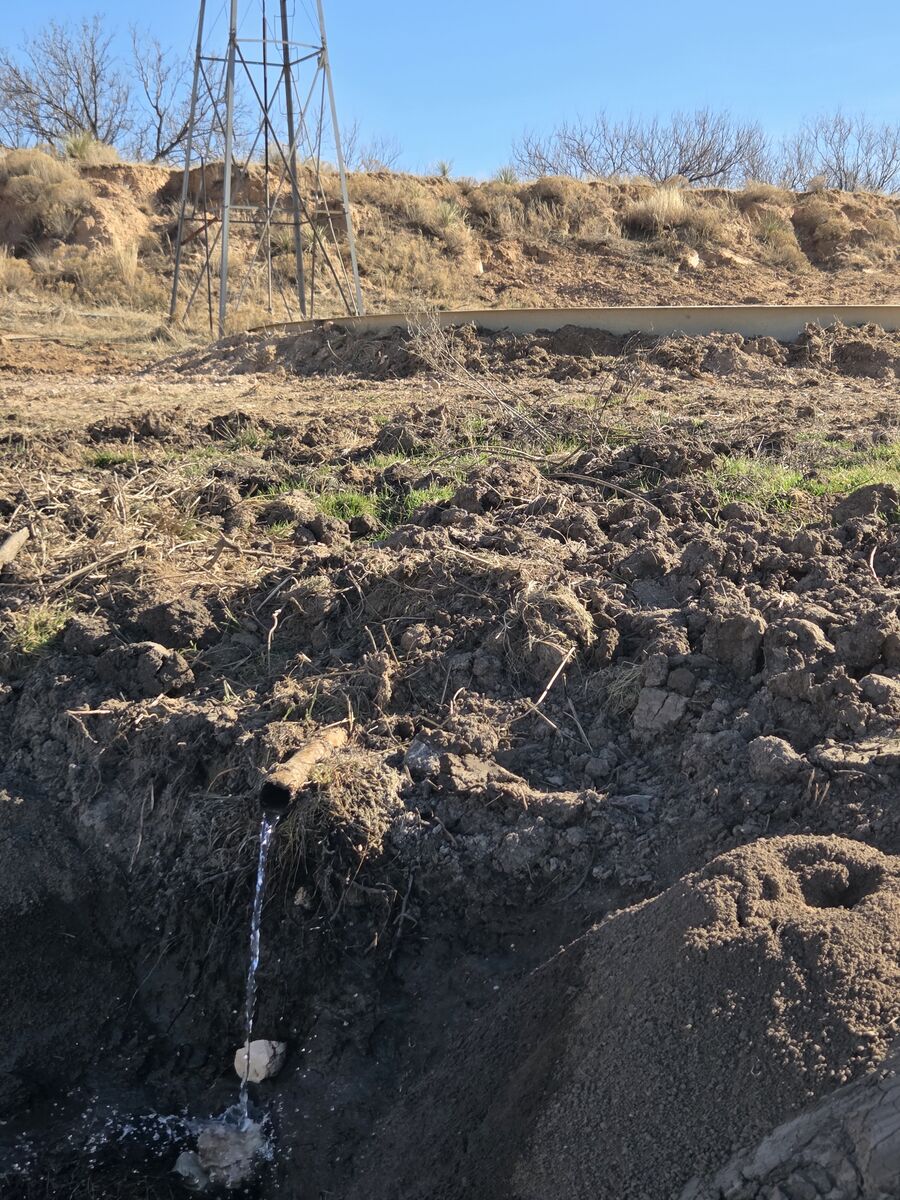 Overflow storage for livestock tanks