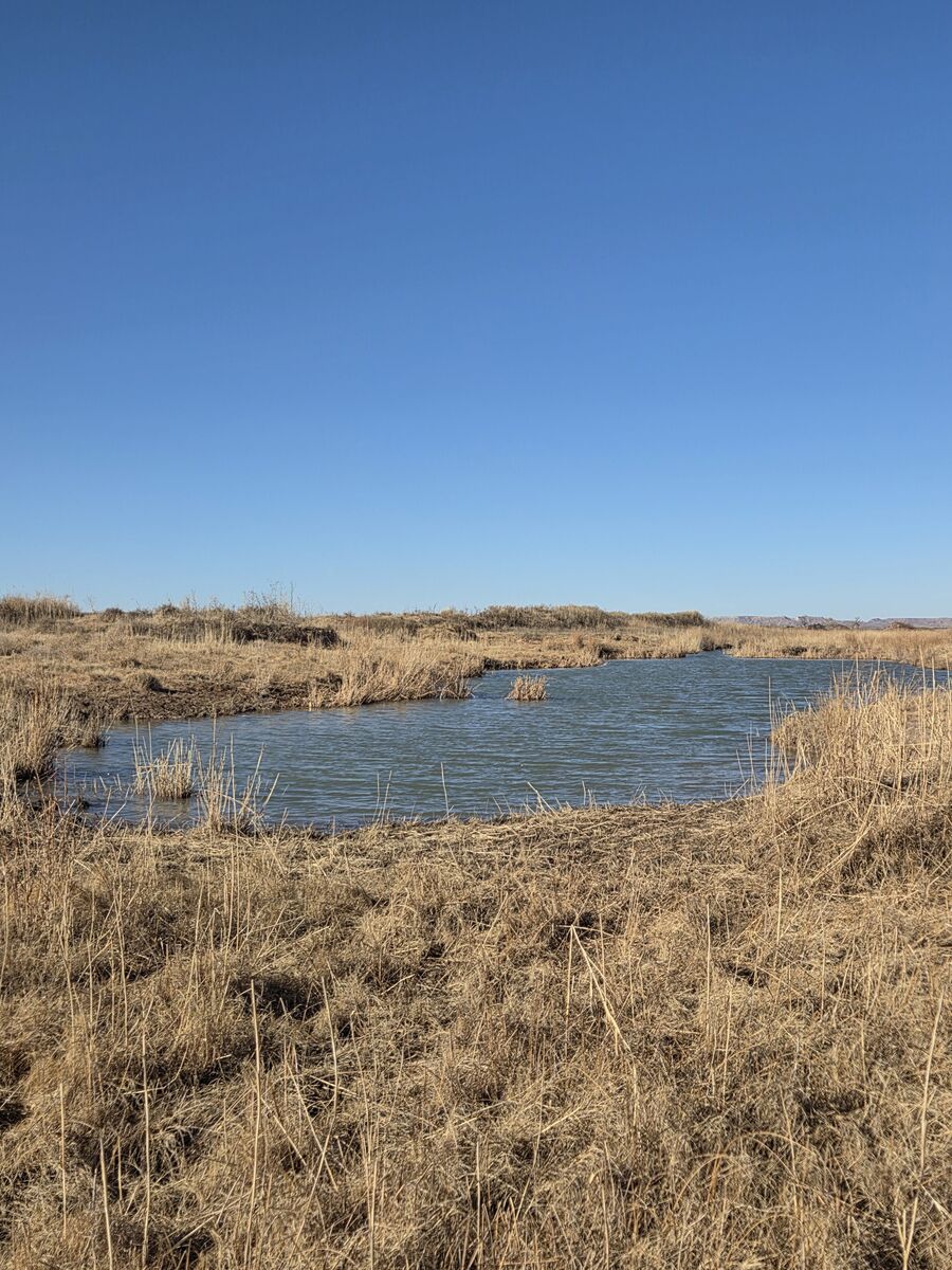 New pond excavation in progress
