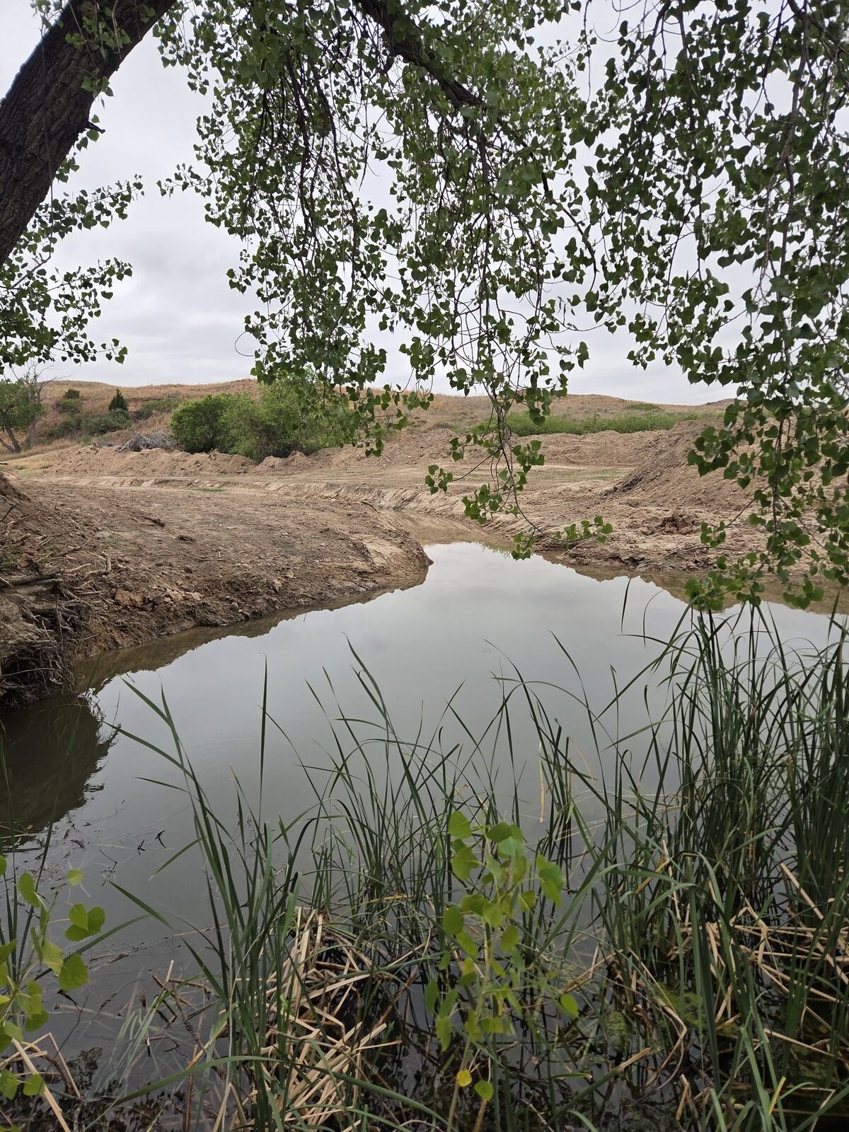 Spring pond on Texas Panhandle ranch property